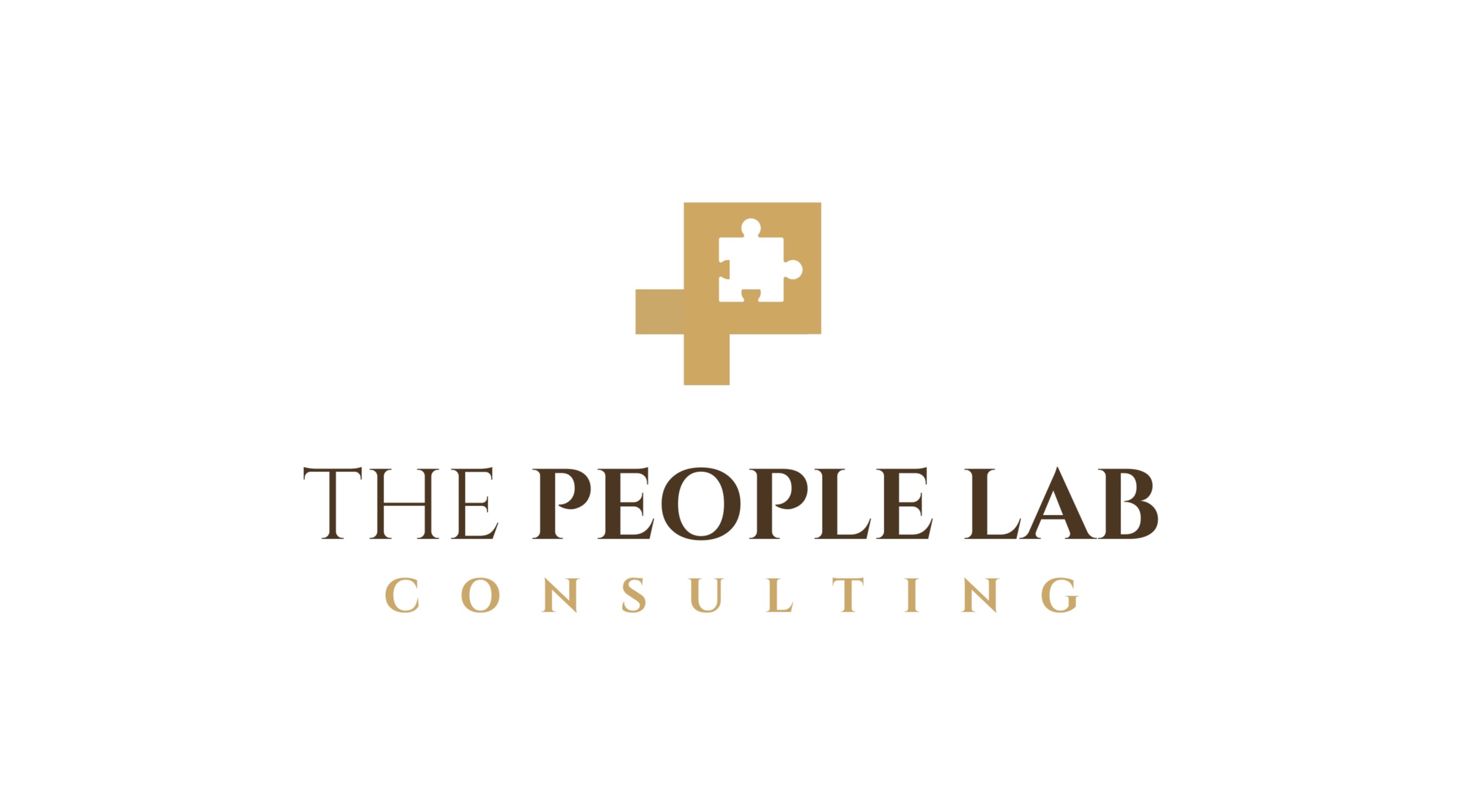 The People Lab Consulting logo